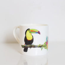 Load image into Gallery viewer, Toucan1A.jpg